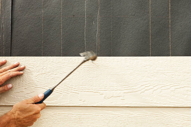 Best Siding Painting and Refinishing  in Highland Village, TX